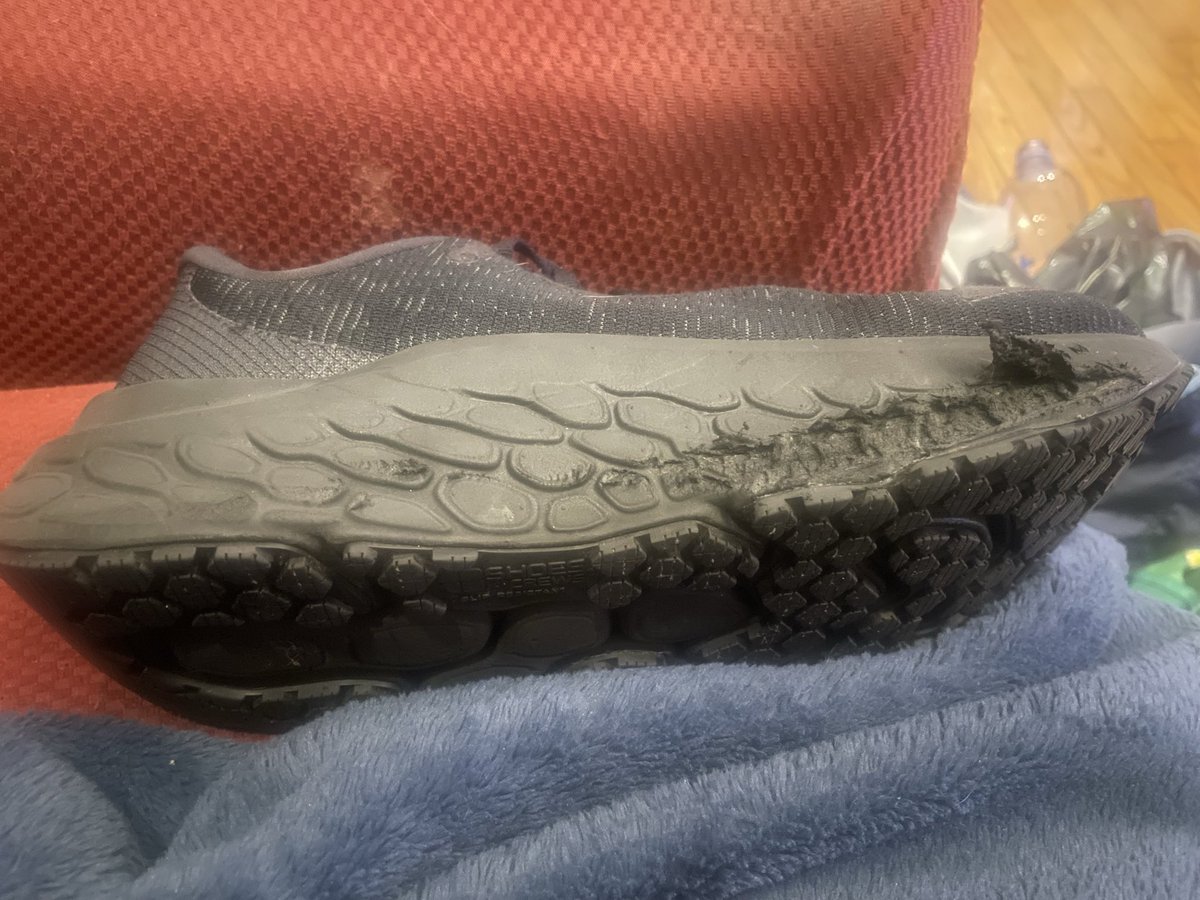 CuriousTheTXCat tweet media