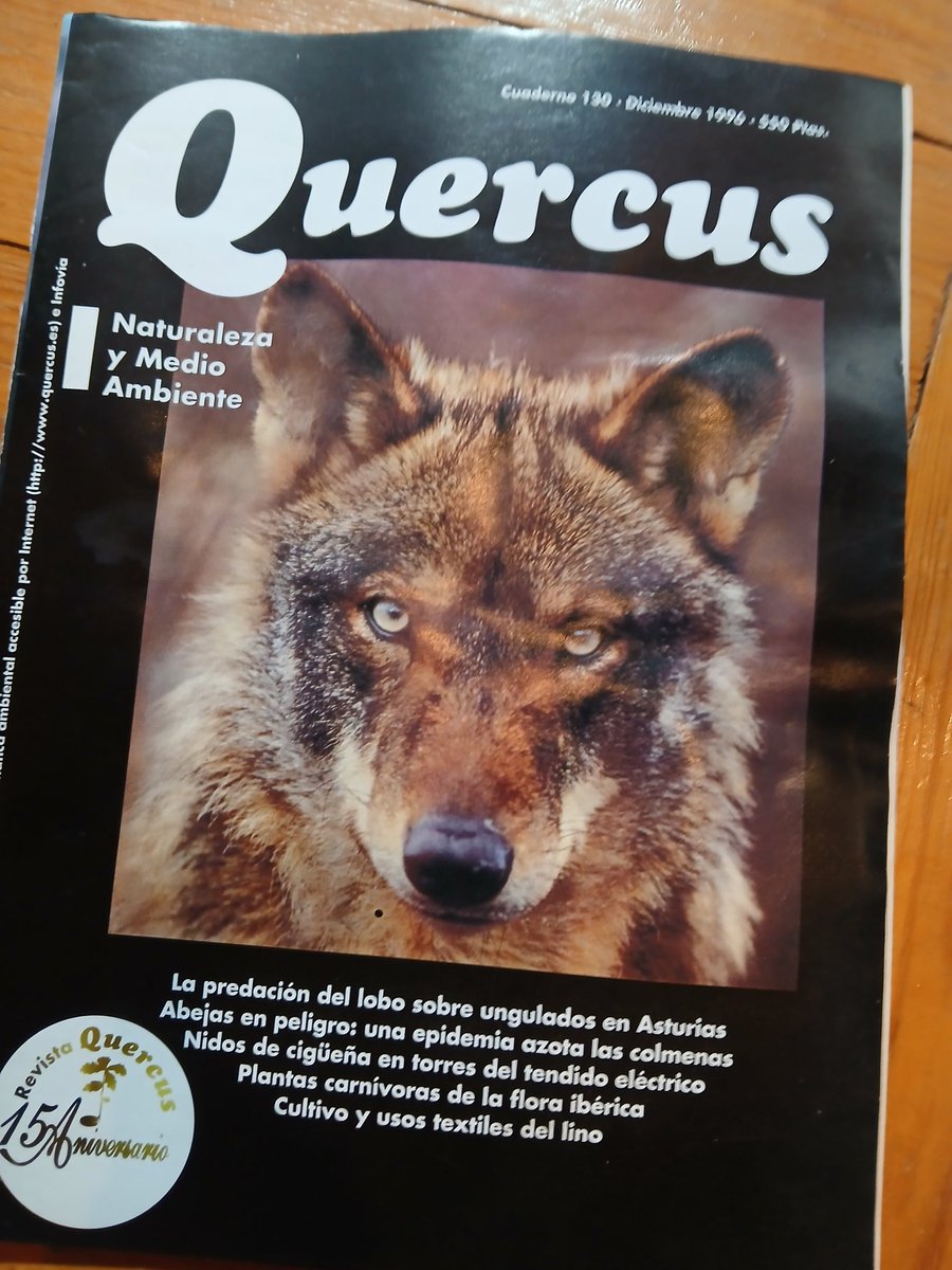 Esa mirada, que nunca se extinga.