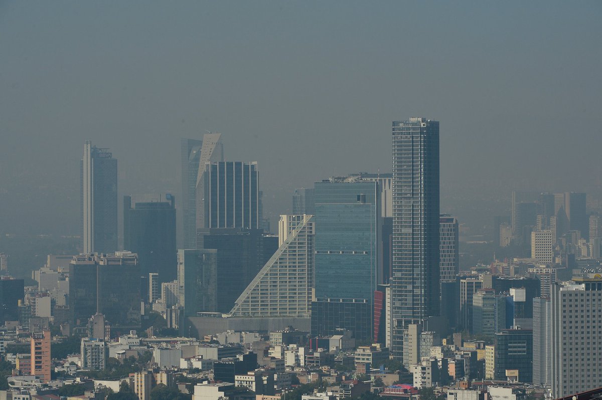 Osvaldo González tweet media