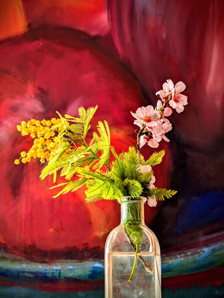 Daniel Bonaventura🎗 tweet media