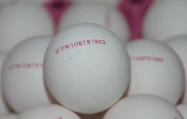 Muhtemelen pasaportunda şu mühür olacak 🫢
#GSvJUVE 
#Galatasaray 
#TRT1