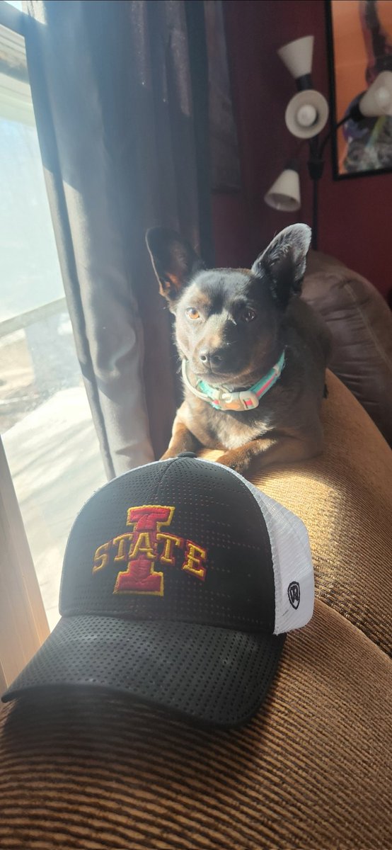 Ted Flint tweet media