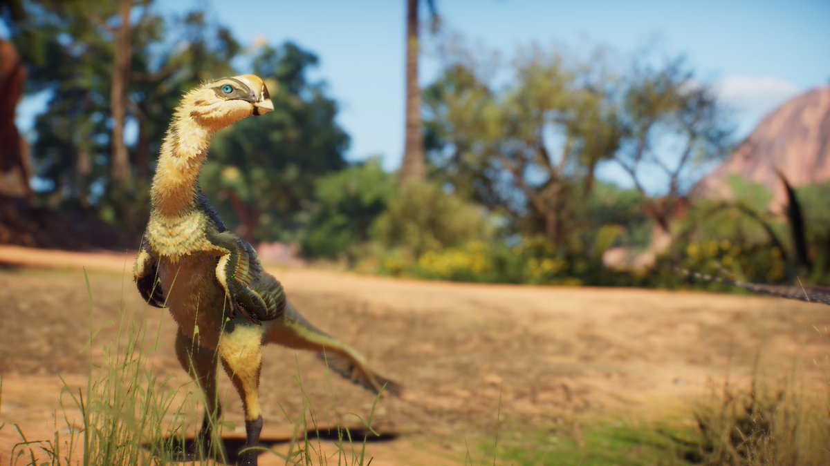 DeLadysigner tweet media