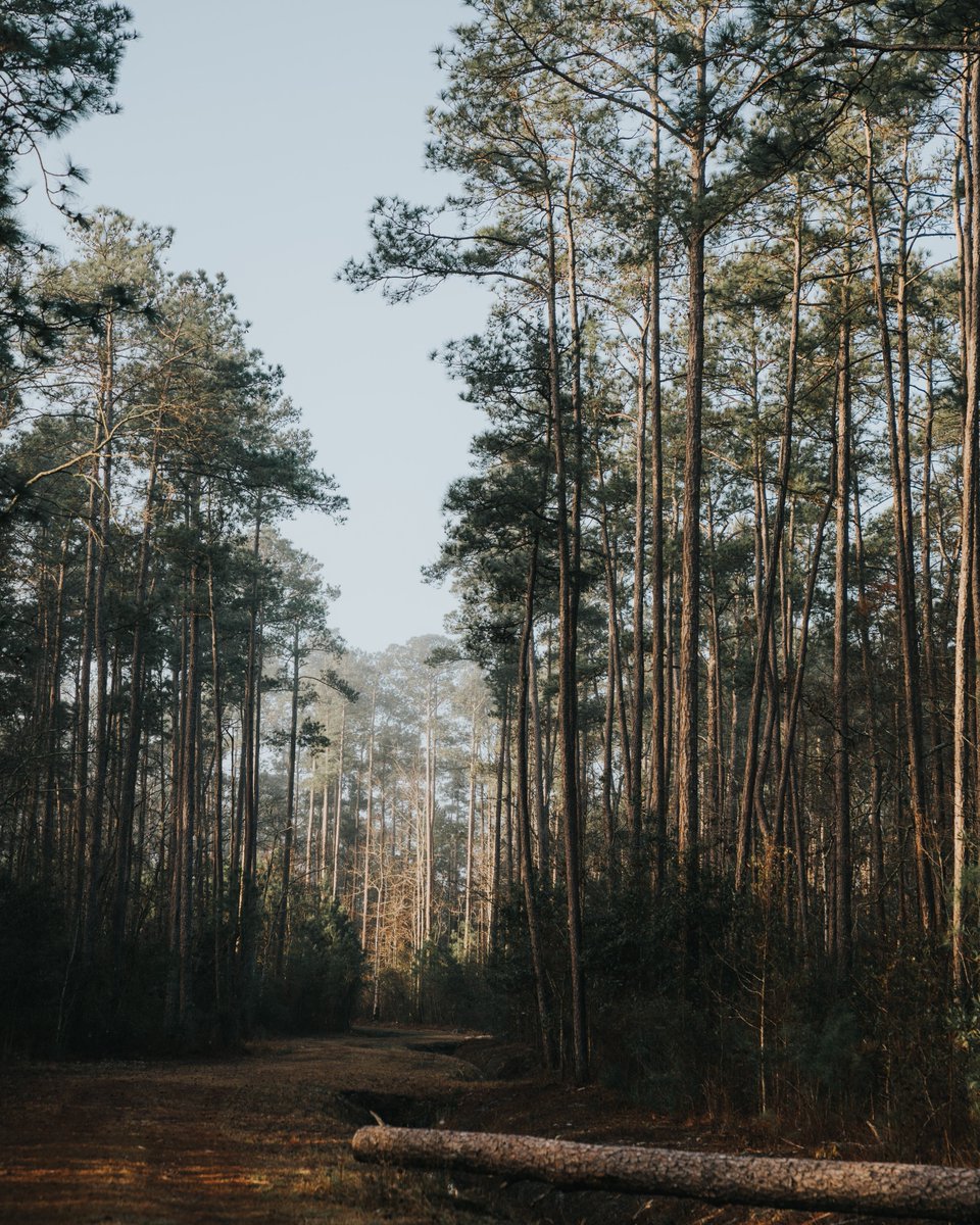 SOWW Charity tweet media