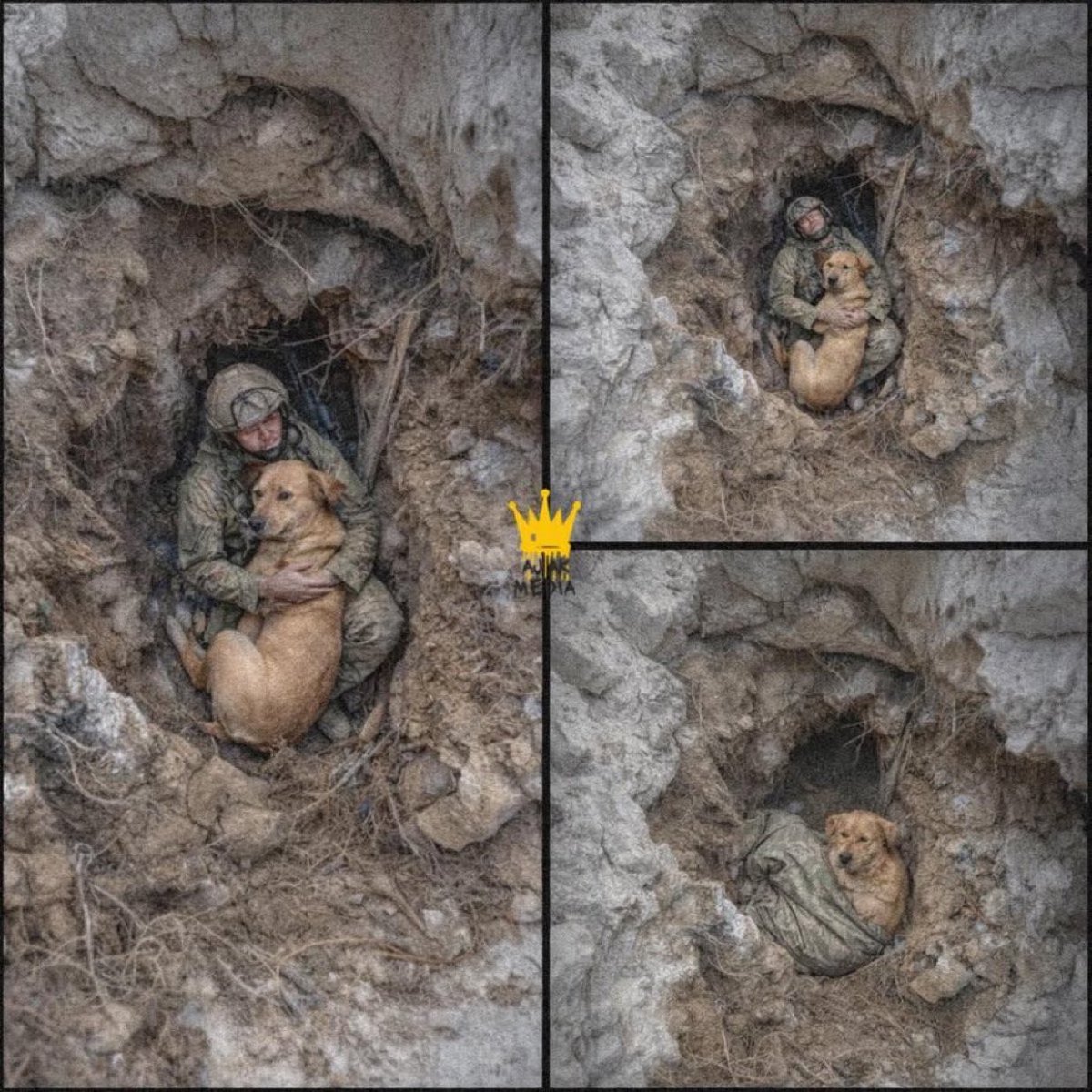 VictorKvert2008's tweet photo. A fallen Ukrainian soldier had a note asking for help:
“We’ve been fighting together for two years. If I don’t make it, leave my jacket in the dugout — winter is coming, and he’ll come there to warm up.
If you manage to catch him, he’ll like it if you scratch behind his ears.” https://t.co/5dLESV8vWl