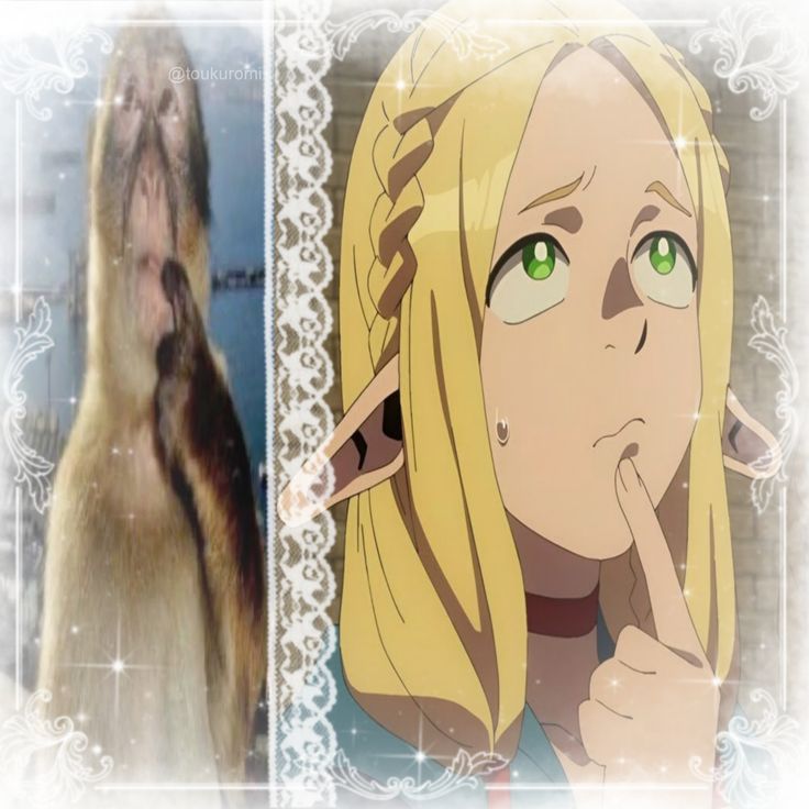 alifyui's tweet image. busco mutuals !!  〻  #anitwt #promotwt 
                        mara , arg , 20

 ˚₊‧꒰ა rt + ♡ = mutis 4rever  ໒꒱ ‧₊˚