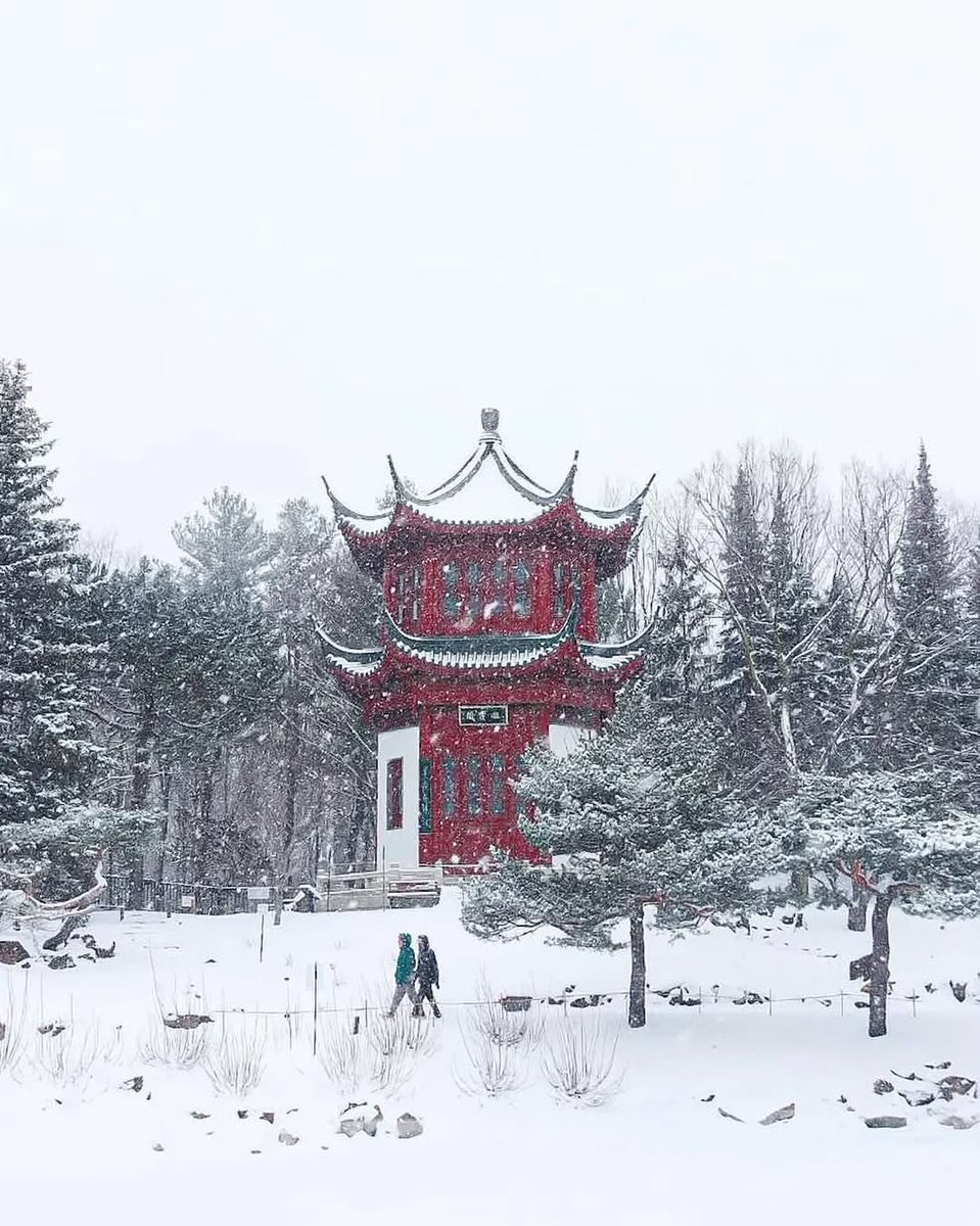 Montréal tweet media