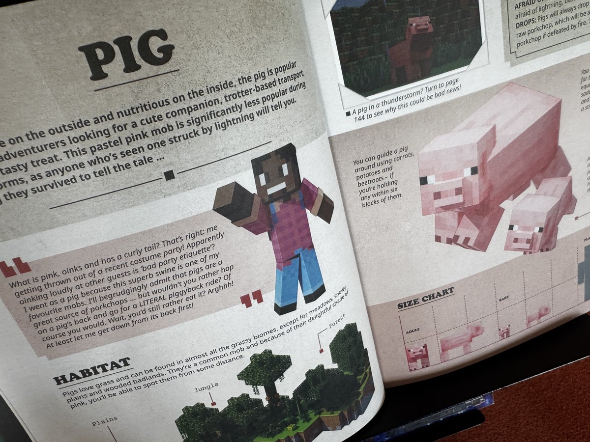 rawhitibythesea's tweet image. Minecraft Madness in our Whare Matauranga!  Check out our new collection of Minecraft books...happy crafting! #RāwhitiSchool #RāwhitiLibrary #MinecraftBooks