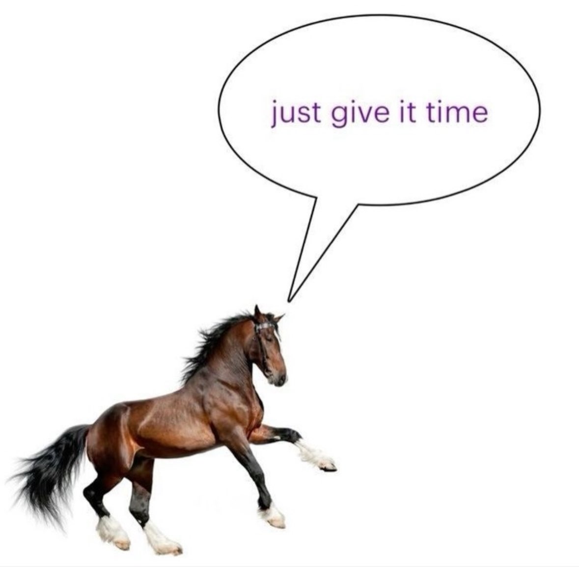 ✧ (@northstardoll) on Twitter photo 