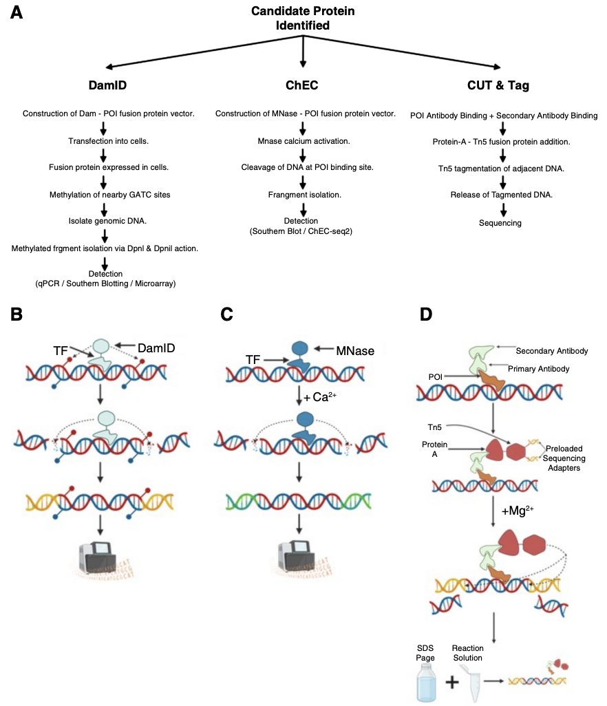 good papers tweet media