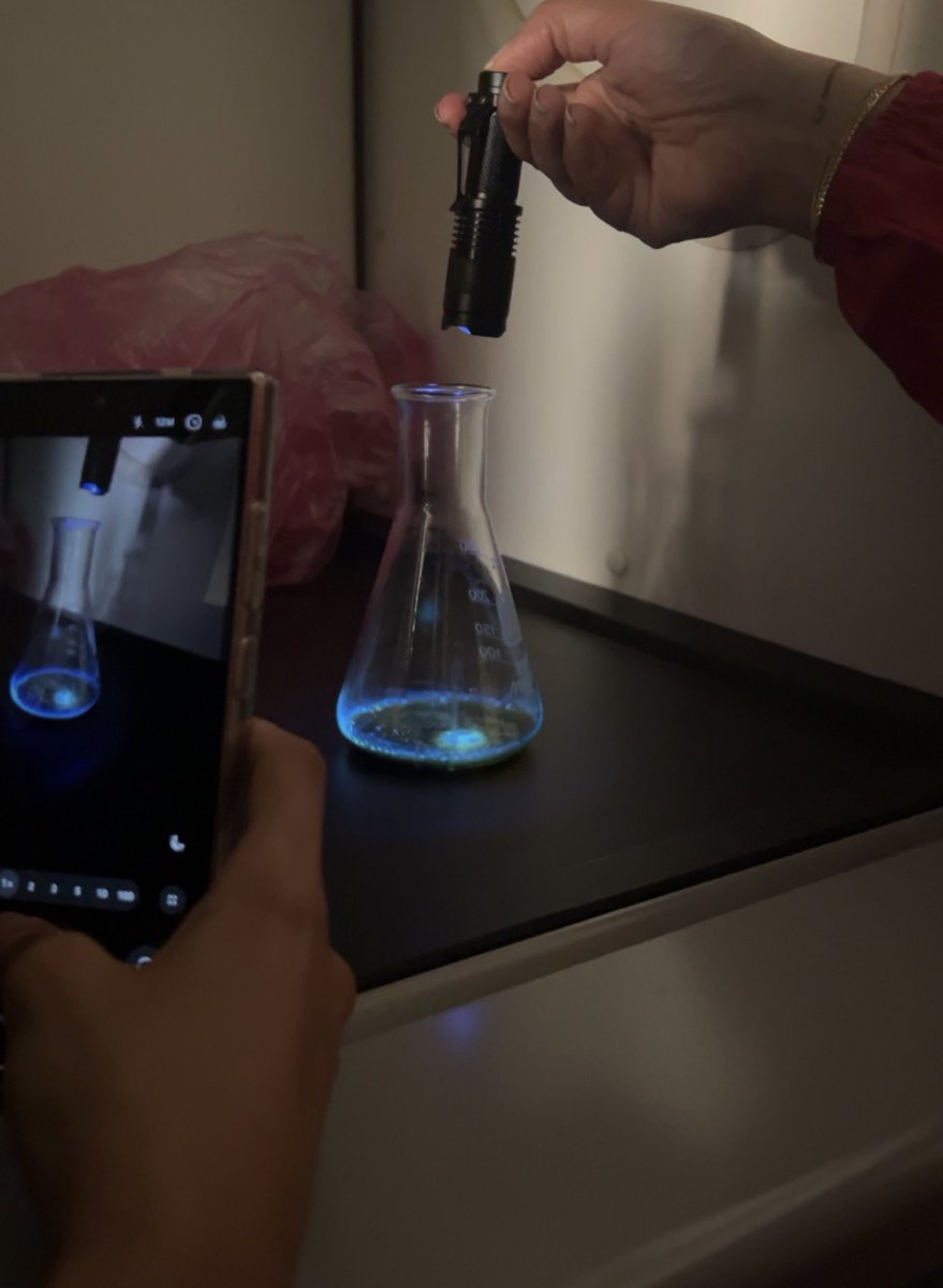 Dana Algamdi 🗽 tweet media