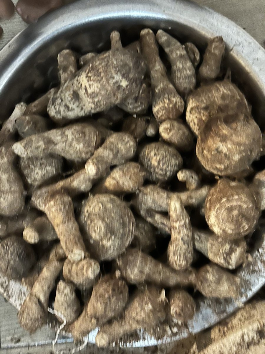 Mamadou Tafsir Diallo tweet media