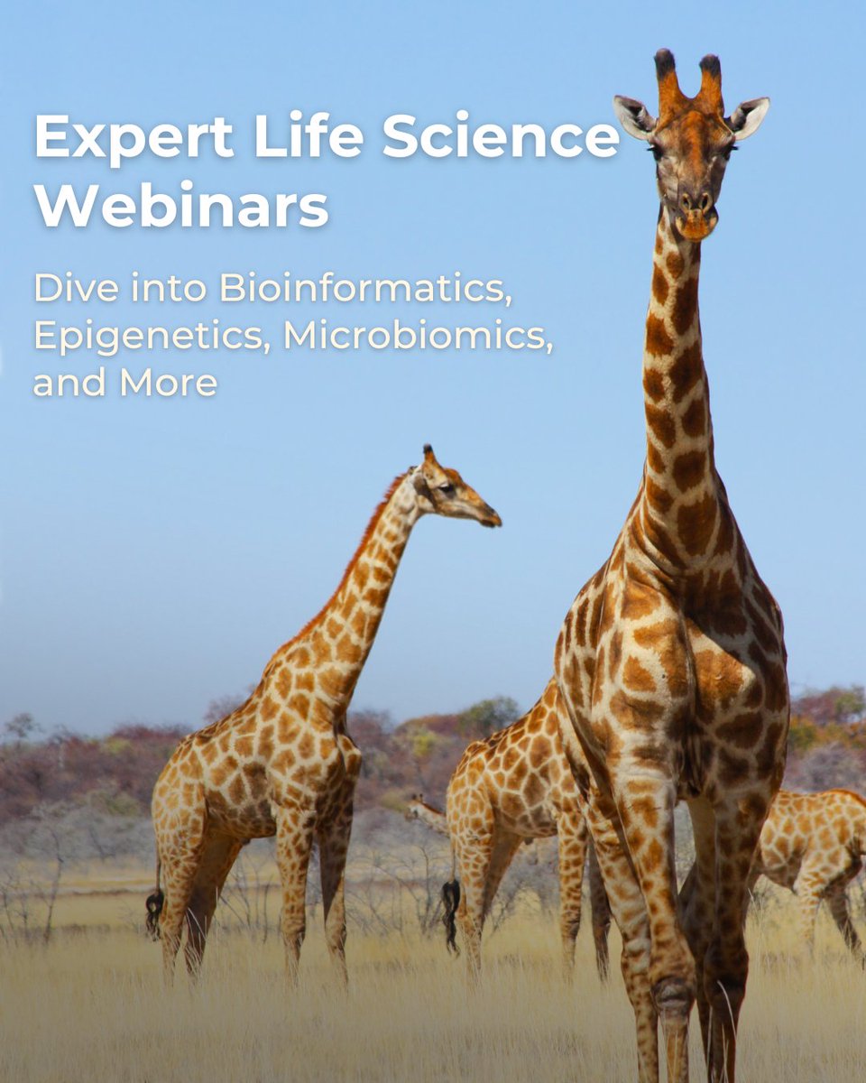ZymoResearch's tweet image. Zymo Research’s educational webinars are built around real scientific needs, offering expert guidance, best practices, and actionable insights.

Explore on demand webinars today: zymoresearch.com/pages/webinars…

#LifeScience #Research #Innovation #Webinars