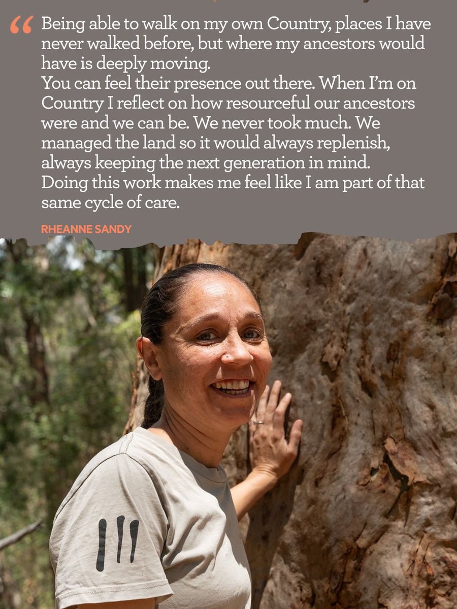 Firesticks tweet media