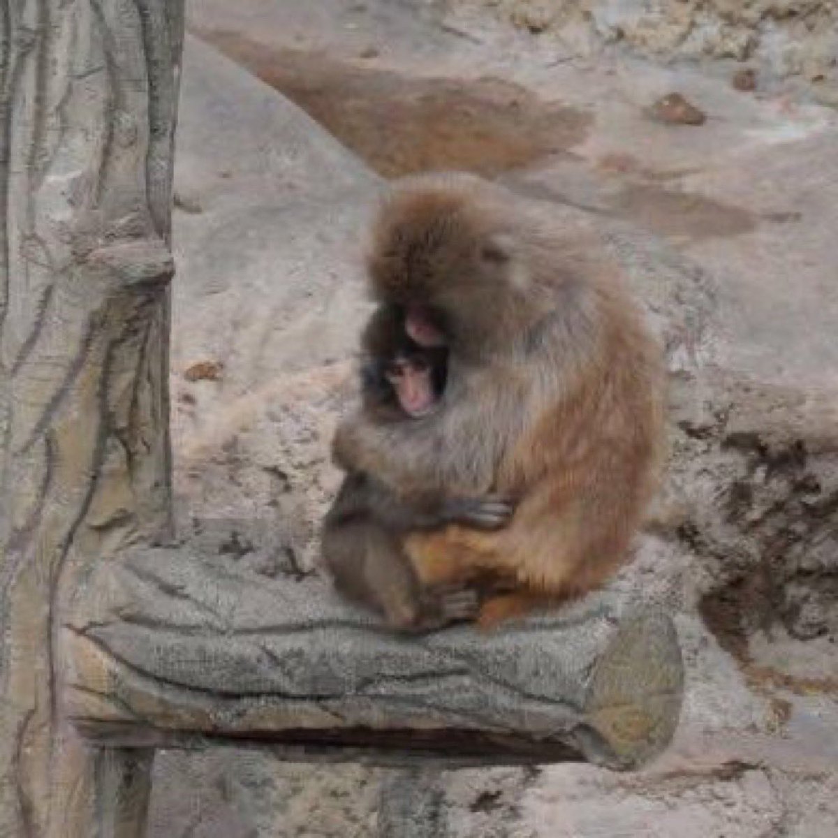 kira 👾 tweet media