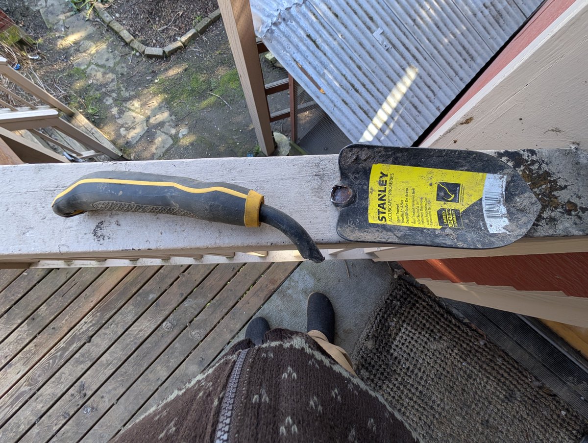 Tikun Olam 🍉🇮🇷 tweet media