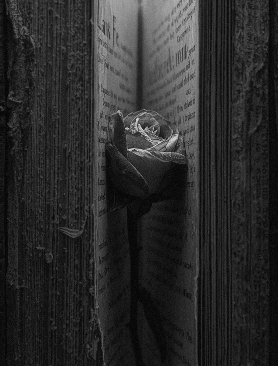 Eres como una flor, guardada entre las hojas de un libro... eterna...

Buenas noches