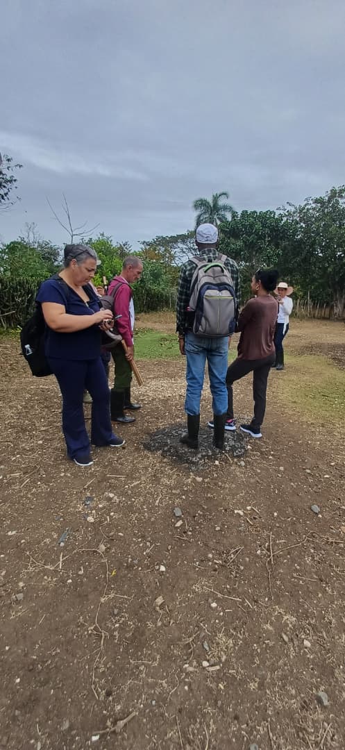 CIENPINOS tweet media