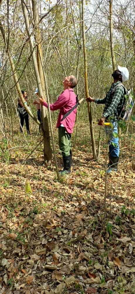 CIENPINOS tweet media
