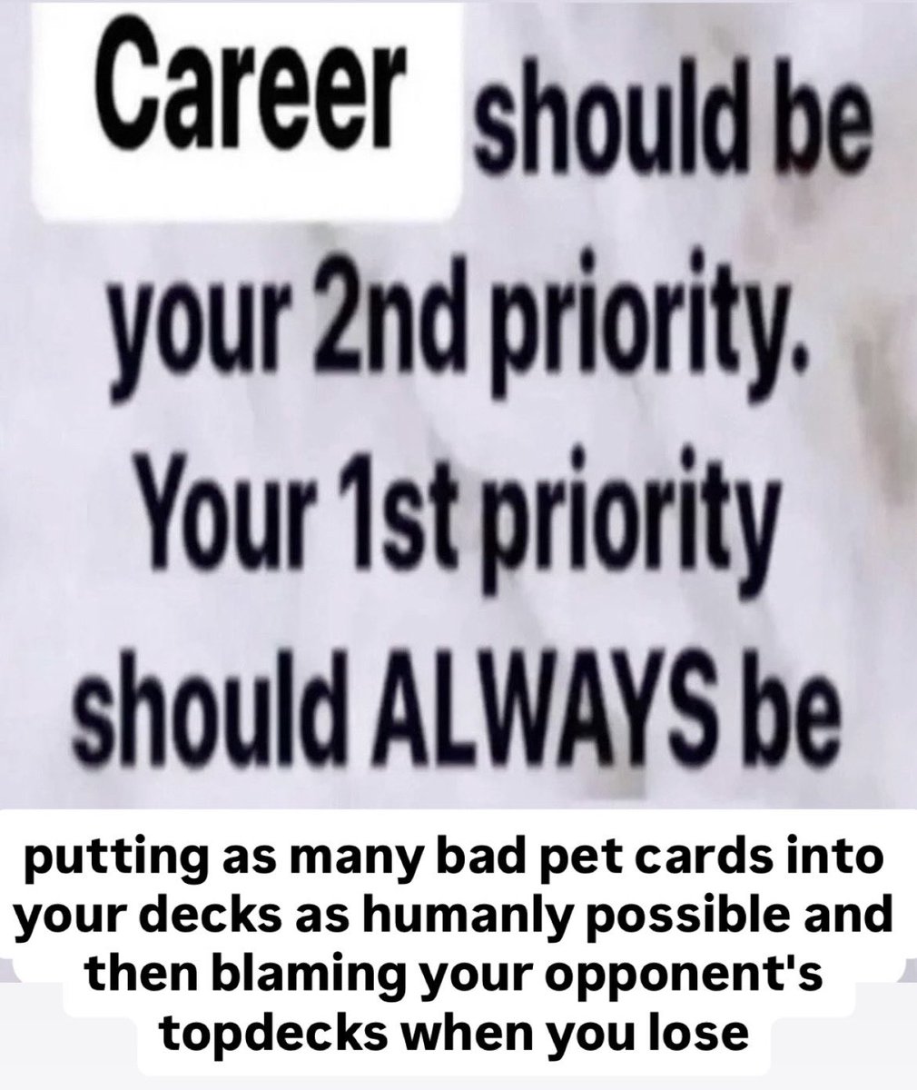 Carolyn Wang 凯伦 tweet media