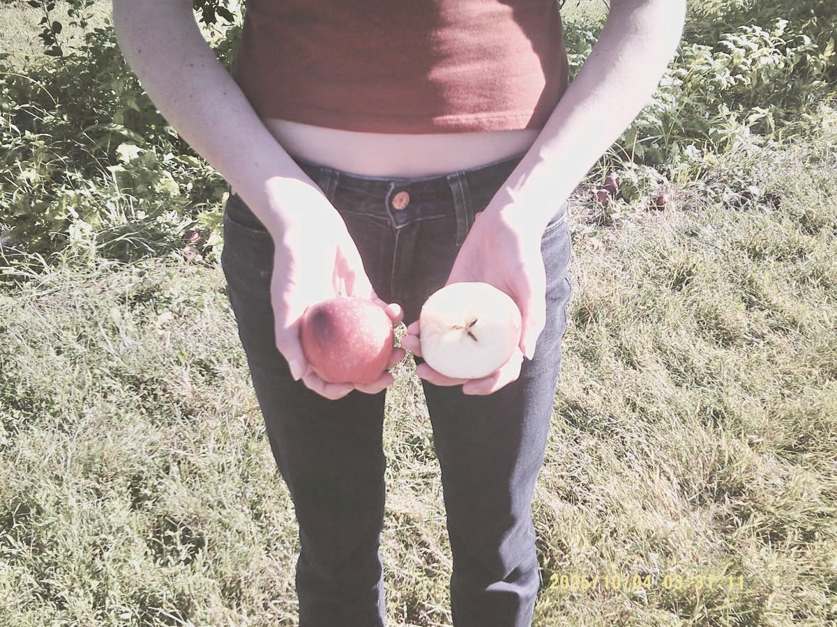 appledolly tweet media