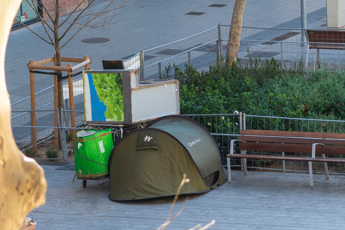 Salvem Sant Antoni tweet media