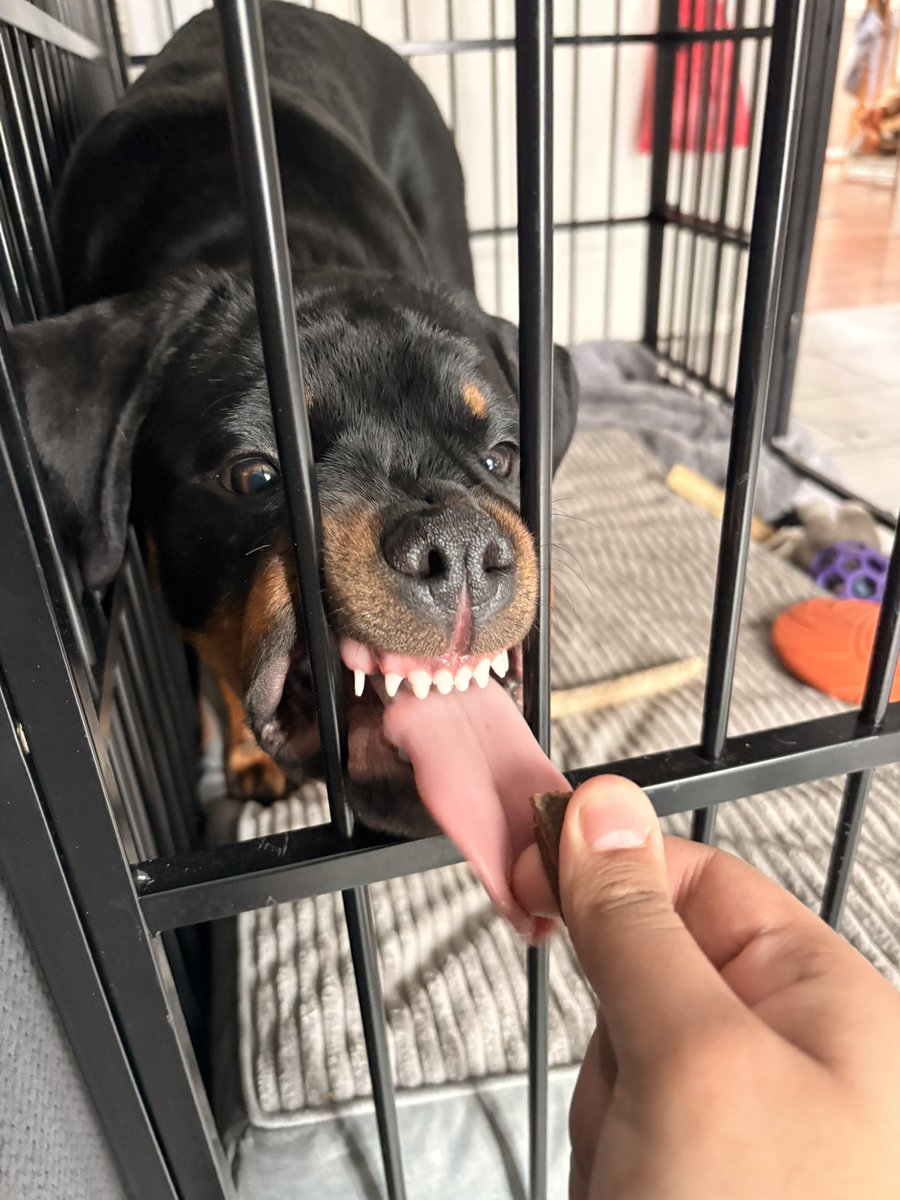 edentityv's tweet image. Abt to have a 40 oz coffee