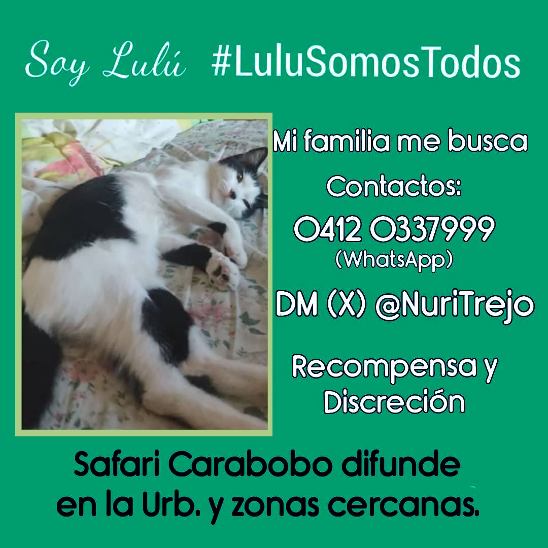 #17Feb. #LuluSomosTodos, ha pasado tiempo, pero la Certeza con Fe y Amor, nos empuja a insistir. Safari Carabobo y zonas vecinas (Barrera de Carabobo), si sabes dónde está, contáctanos a través del 0412 0337999 o por DM (X) <a href="/NuriTrejo/">Nutrecajo</a>. Discreción y Excelente Recompensa. #Seguimos