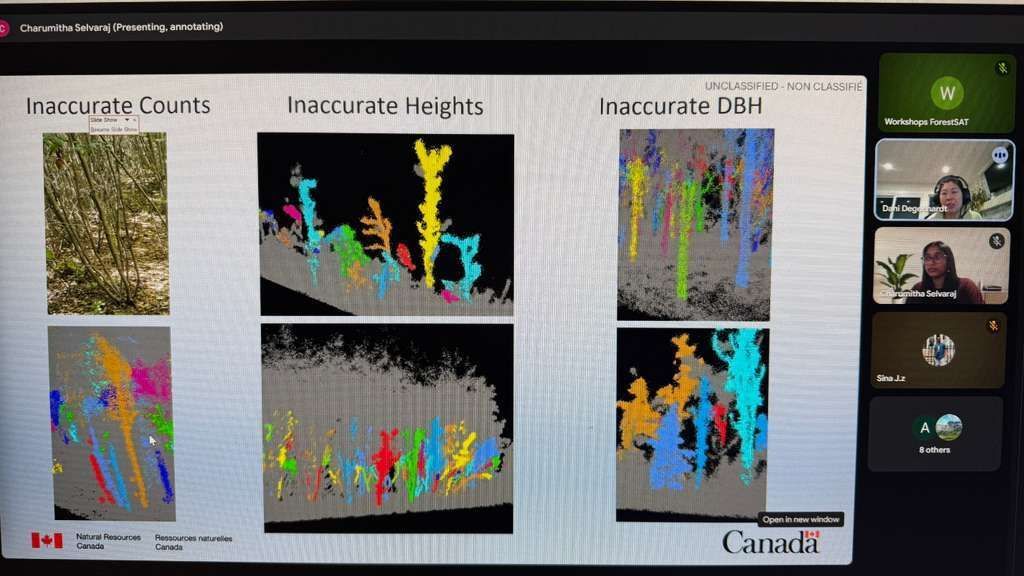 ForestSAT tweet media