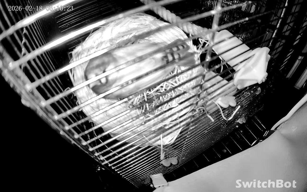 なにそれwww 入りなよwww