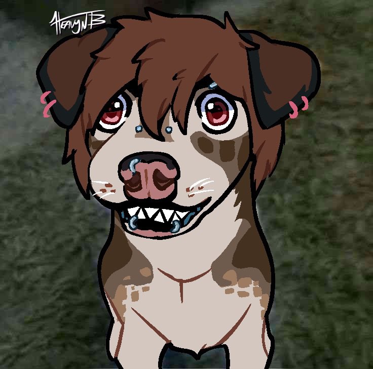 heavyn 🐾🔞🔜 fwa tweet media