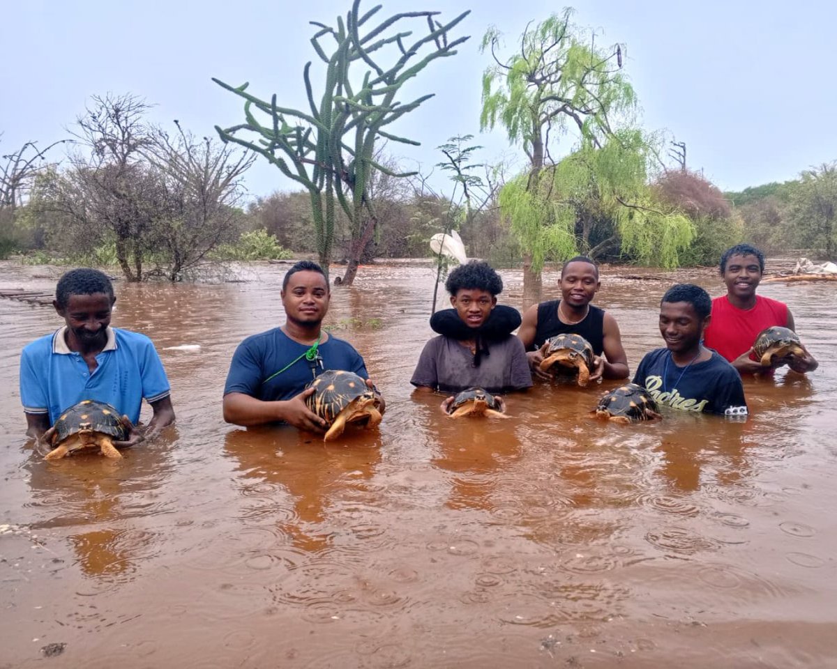 Turtle Survival Alliance tweet media