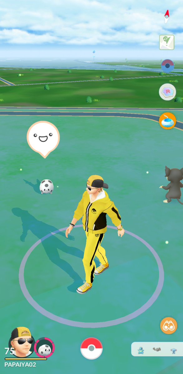 PAPAIYA02_'s tweet image. ガラサニって丸い状態で後ろついてくるのバクですか？
影にはちゃんと触覚みたいなんあるですけど🫣

なんかかわいくて愛着湧いてきました😍笑