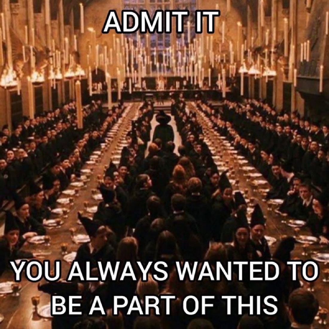 Daily Harry Potter tweet media