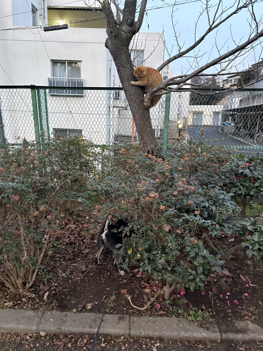 寝てた所、申し訳ない