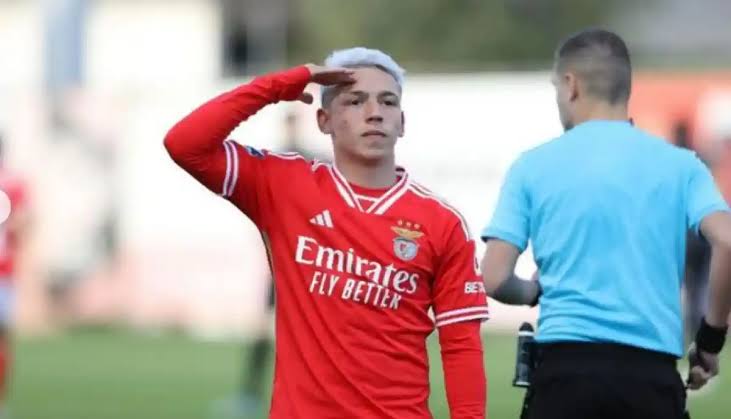 Maio de 61 tweet media