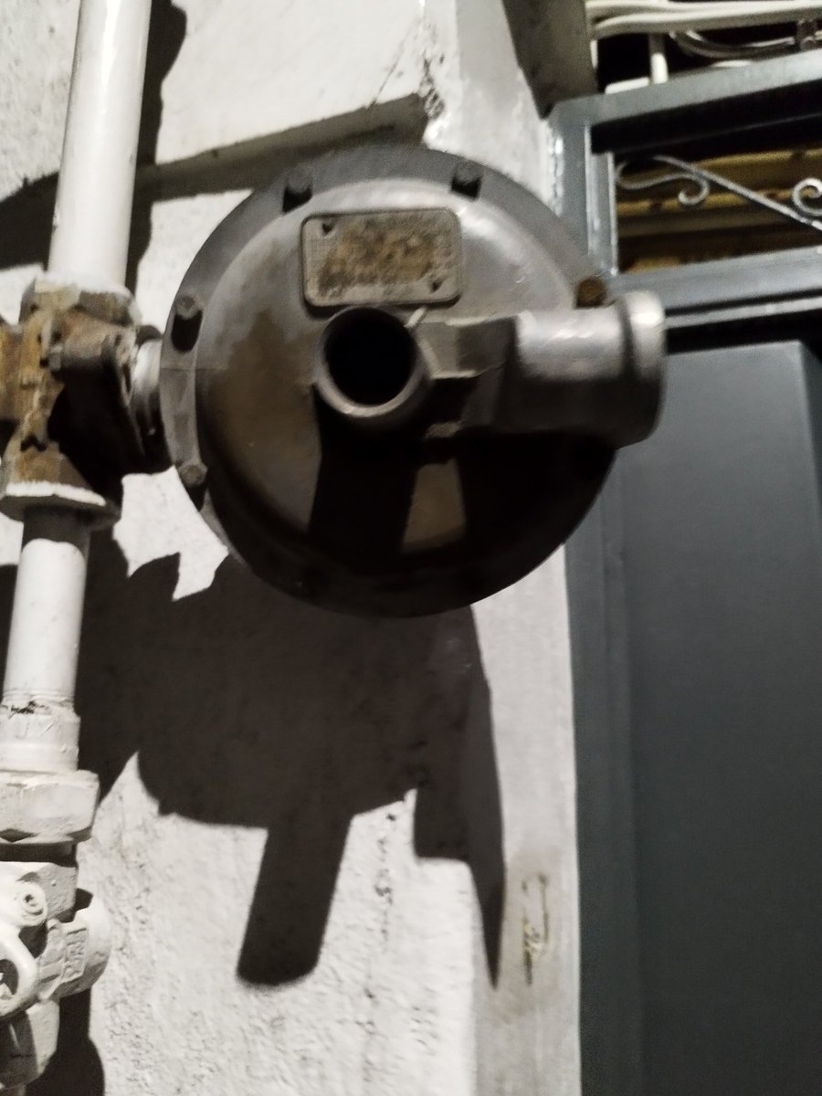 niddlebit tweet media