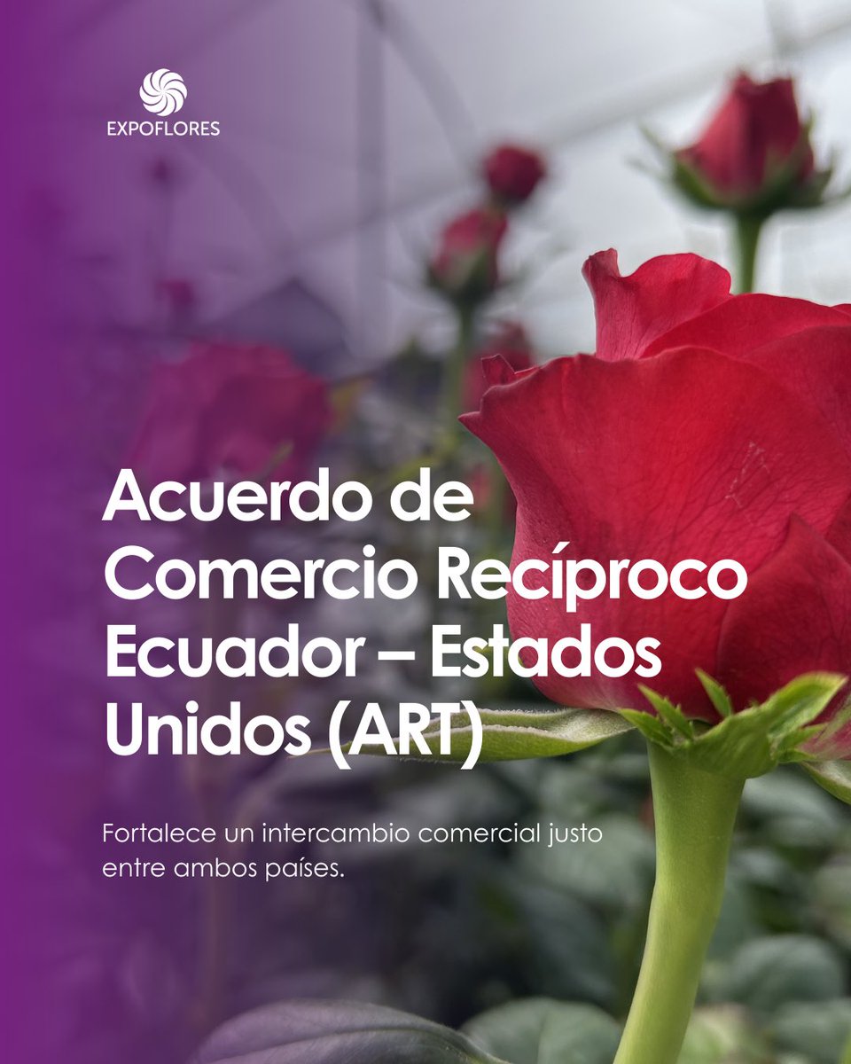 Expoflores tweet media