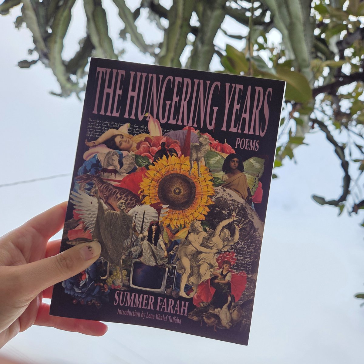 summer :) tweet media