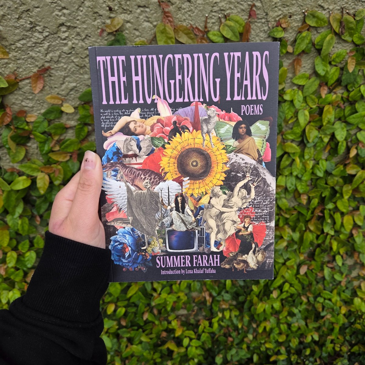 summer :) tweet media