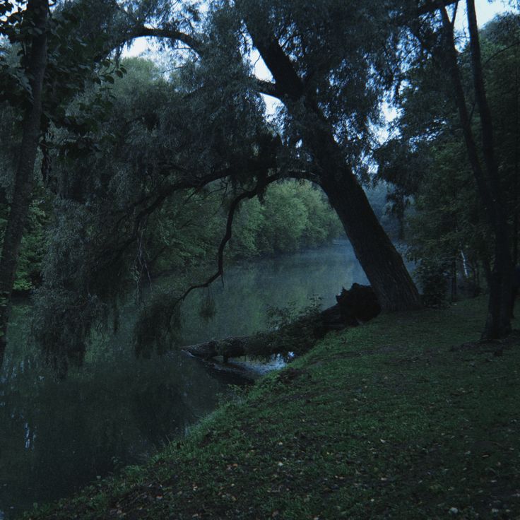 elemmiressoul's tweet image. so peaceful.