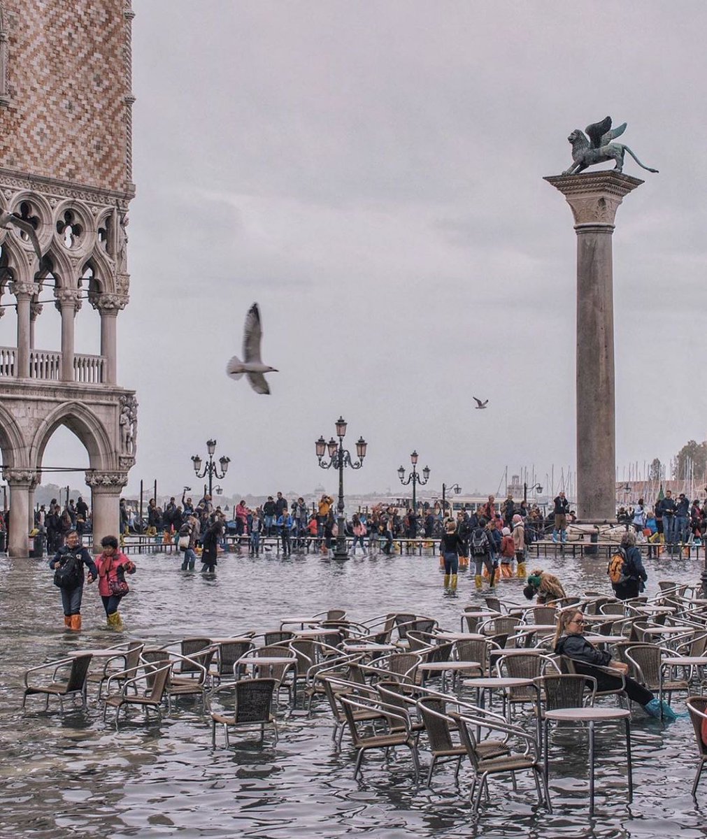 سلامٌ على من اختار درب المواجهة لا درب الخضوع، ودرب الكرامة لا درب العمالة