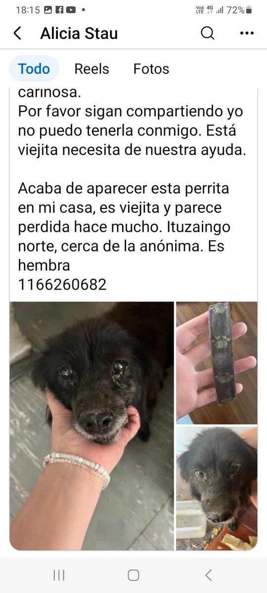 PERRITA NEGRA VIEJITA, SORDA, CON COLLAR NEGRO CON PATITAS ENCONTRADA PERDIDA EN ZONA OESTE🥺🙏🙏 Se busca a su familia o adoptante!! Se lleva bien con otros perros. Muy compañera..
📱1166260682
facebook.com/share/p/1C6gW8…