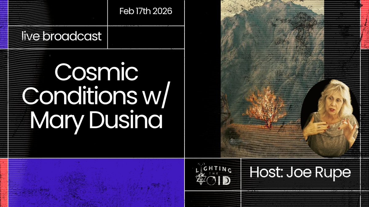 LightingtheVoid tweet media