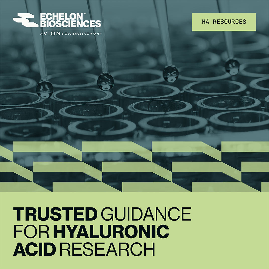 Echelon_Bio's tweet photo. HA research spans a broad range of applications, but generating reliable data can be challenging. @Echelon_Bio provides a library of practical resources designed to help you achieve more.

🔗https://t.co/vXi9txdozf
https://t.co/j95AC7uPPe

#HyaluronicAcid #ELISA #Biomarkers https://t.co/zLmTYraA8e