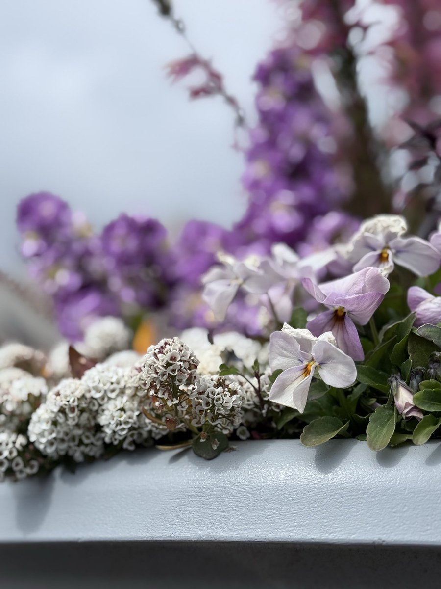 みつき tweet media