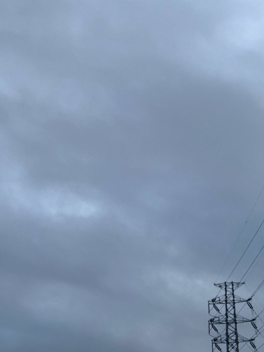 みつき tweet media