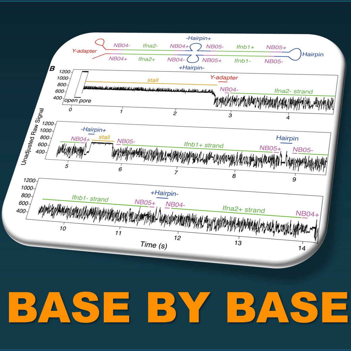basebybase tweet media