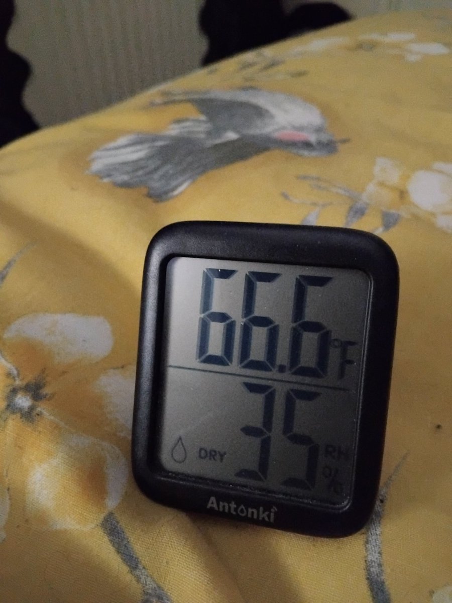 demonicmo60's tweet photo. Haha like i said wakeing up at 3.33 in morning wide a wake despite the temprature had a brilliant day oh and for rest of day everytime i looked at clock it was 4.44 5.55 1212 12.22 i still cant work out wat spitit is trying to tell me but hay brilliant day https://t.co/91RKbB1h5k