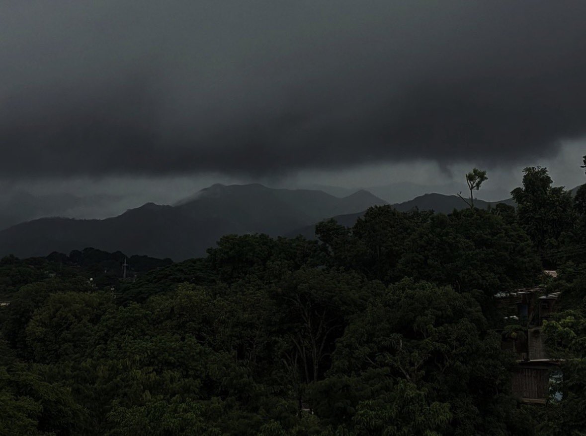 𝕴𝖗𝖎𝖘⋆˚࿔ tweet media